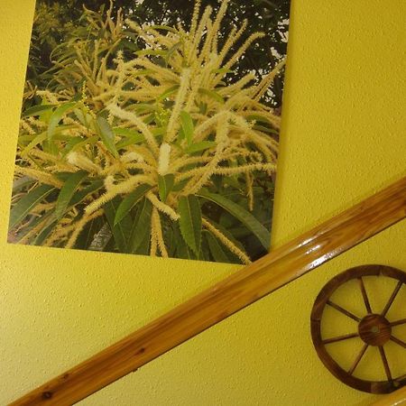Hostal El Peregrino La Portela de Valcarce エクステリア 写真